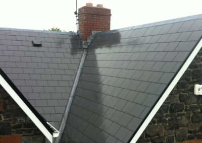 Professional-roof-cleaning-services-in-Mayo,-Sligo,-Roscommon,-Galway-Ireland