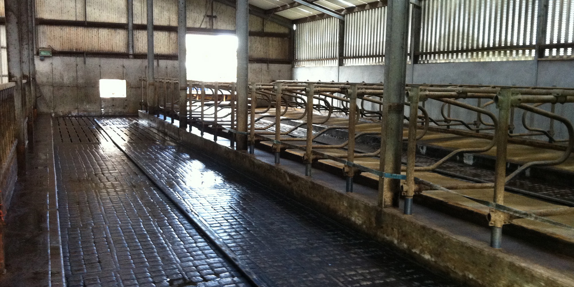 Agriculture-power-washing-contractor-for-farms-Mayo,-Galway,-Roscommon,-Sligo-Ireland